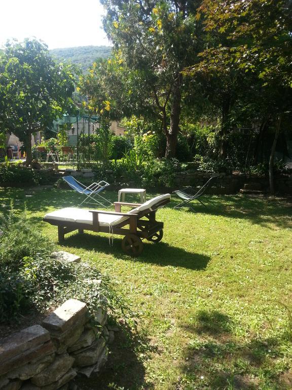 B&B Il Giardino Di Romi Mercatale  外观 照片